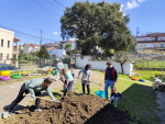 Figura 10 – Montagem da horta escolar 2025.